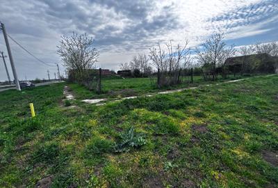 Casă în Grăniceri - 3