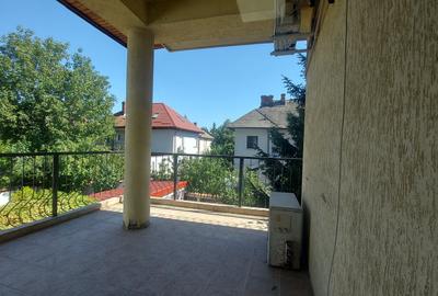 BARVU VACARESCU-LACUL TEI - 19