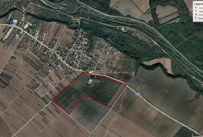 Mogosesti, teren intravilan 37 ha/d=800 m proiect dezvoltare proiect rezidential - 2