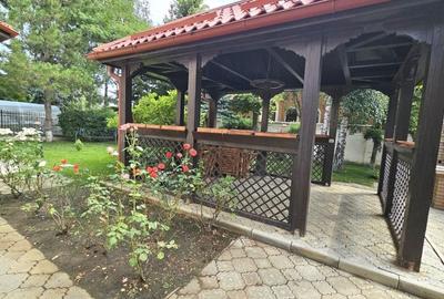 REV2004359 Casa Deosebita Individuala Baneasa 7 camere cu teren - 12