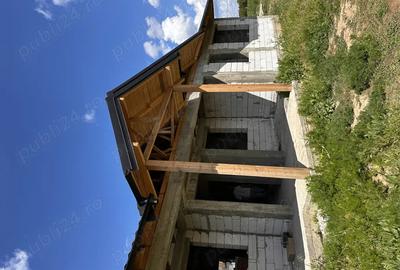 Casa la gri, parter, Ciolpani - 3