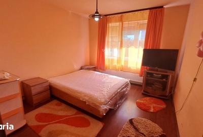 Apartament cu 2 camere semidecomandat în Săsar - 5