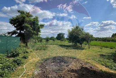 Teren Ferbinti Targ - 3.500 Mp - 3