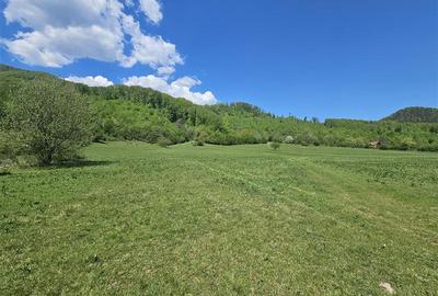 Teren intravilan de 5370 mp, în Poiana Sărată - 4