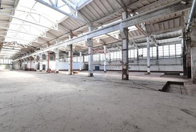 Teren industrial 35.000 mp cu hale de productie Craiova - 6