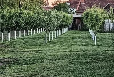 Casă cu 4 camere în Salonta - 8