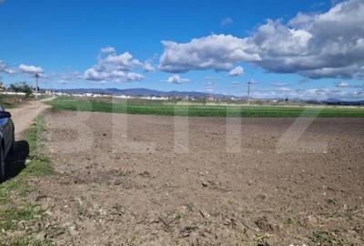 Teren de 15000 mp, în Central