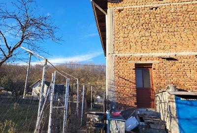 Casă cu 3 camere în Burluși - 1