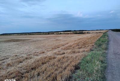 Teren de 11000 mp, în Movilița - 2