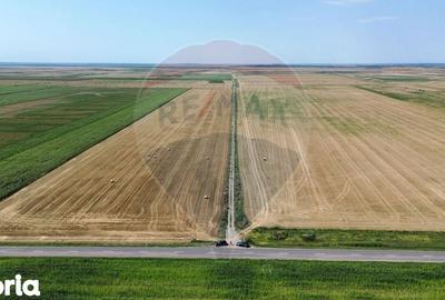 Teren de 5000000 mp, în Slobozia Ciorăști - 12