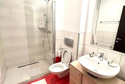 Apartament cu 3 camere decomandat, mobilat în Băneasa - 4