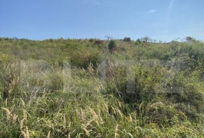 Teren intravilan/extravilan centura Zalau, 8200 mp - 2