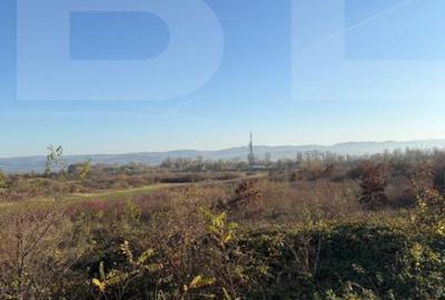 Teren de vanzare, Extravilan in Gurasada, 18532 MP - 5