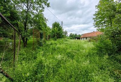 Teren de 18645 mp, în Sântămăria de Piatră - 11