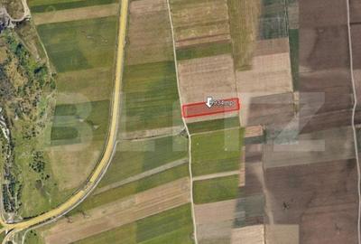 Spațiu comercial, în Central