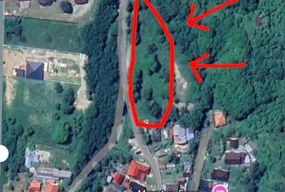 Proprietate intravilană - 2.298 mp - Mălaia, jud. Vâlcea - 1