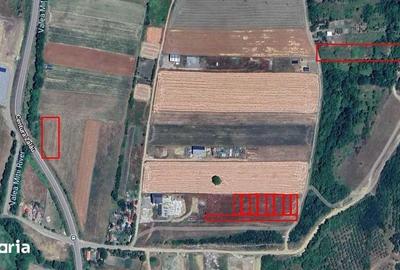 Teren de 2000 mp, în Central