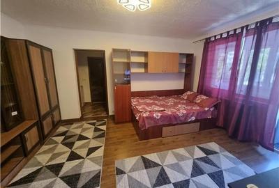 Garsoniera 40mp renovata si mobilata et1 langa Galic - 11