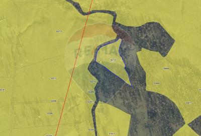 Teren agricol extravilan de 6725 mp, în Hoteni - 7
