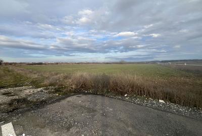 Teren de 7481 mp, în Sânmartin - 5