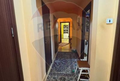 Apartament cu 3 camere de vânzare în zona Brazda lui Novac - 5