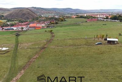 Teren extravilan 2200 mp in Orlat - 2