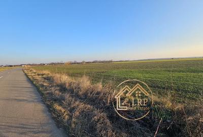 Dascalu-Creata-DC185-7900 mp intravilan, stradal - 5