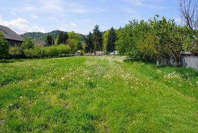 Teren Construcții intravilan de 4076 mp, în Sarasău - 15