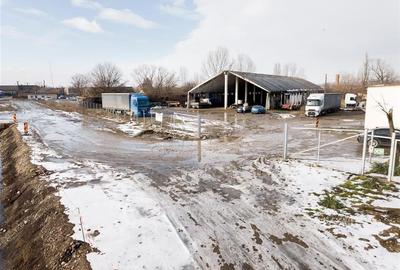 RECO . Proprietate industriala Tileagd . - 10