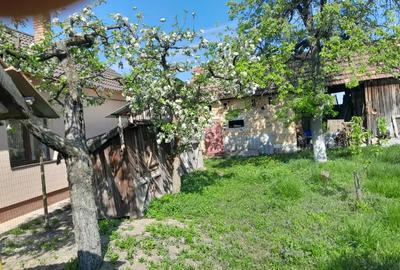 Casa de vanzare - 6