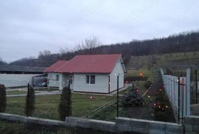 Casă cu 2 camere cu Teren 2984 Mp în Avrămești - 4