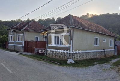 Casă cu 4 camere în Băile 1 Mai - 15