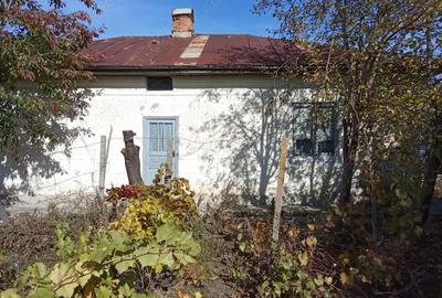 Casă cu 6 camere cu Teren 1900 Mp în Ciorăști - 3