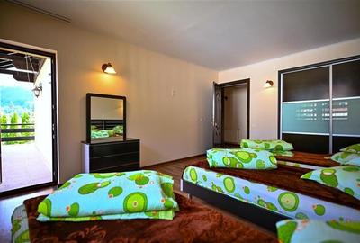 FILM!Resedinta in pretios decor montan, vecinati calitative,1.700 mp teren,Timis - 25