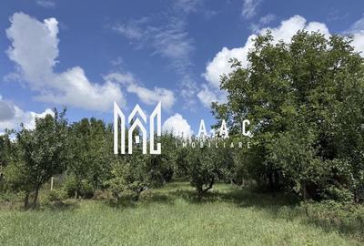 Casă de renovat I teren 1400 mp I Livadă I Central Săcel - 5