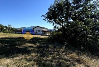 Teren comuna Alexandru cel Bun , drumul spre Bisericani - 8