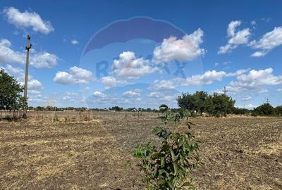 De vanzare teren intravilan 1000 mp Fundulea - 4