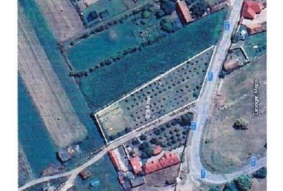 Teren Construcții intravilan de 2595 mp, în Bogata Olteană - 2