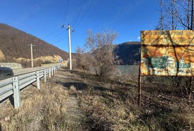 RED Imobiliare Teren intravilan in Dubova, Clisura Dunarii Deschidere la Dunare - 3