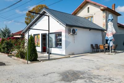 Vanzare vila si spatiu comercial, cu gradina si garaj-zona Corbii Mari - 15