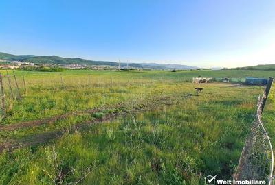 Teren agricol extravilan de 2900 mp, în Florești - 7