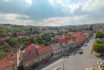 Casa / Vila cu 4 camere de vanzare Ultracentral Str. Louis Pasteur - 20