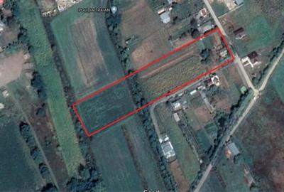 Teren de 10000 mp, în Traian - 1