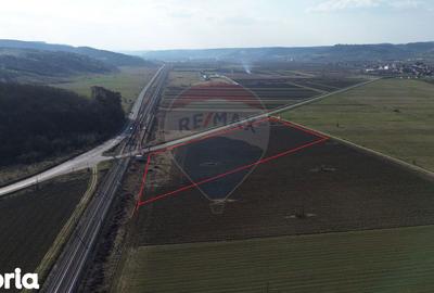 Teren de 19319 mp, în Laslea - 8