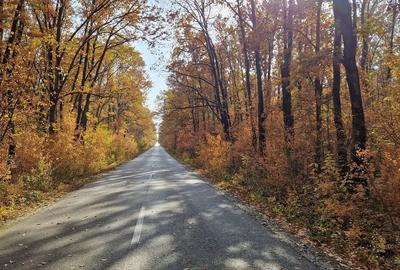 Casă cu 3 camere cu Teren 2000 Mp în Central - 12