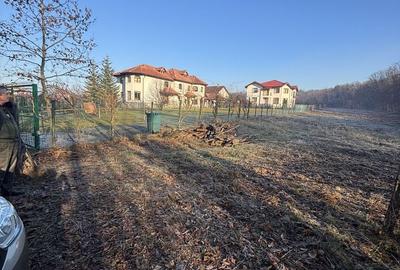 Teren de 3676 mp, în Păulești - 2