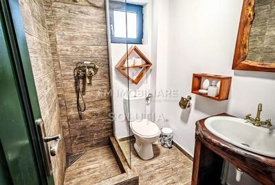 Casă cu 5 camere decomandat cu Teren 3570 Mp în Desești - 9