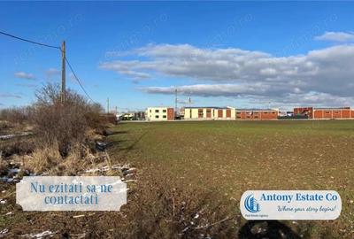 Teren de 17615 mp, în Borș