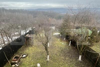 Cabana de lemn- Vatmani - 2