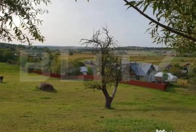 Casă cu 2 camere cu Teren 2700 Mp în Central - 2